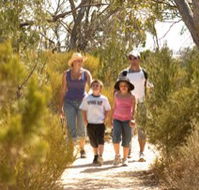 Long Island Caravan Park Cabins - Accommodation Sunshine Coast