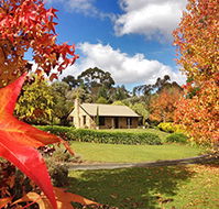 Adelaide Hills Country Cottages - Lavender Fields - Accommodation Sunshine Coast