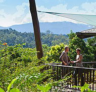Rose Gums Wilderness Retreat - Accommodation Sunshine Coast