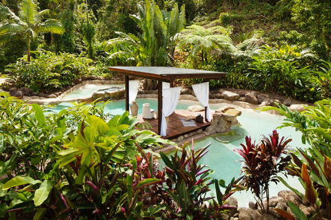 Misty Mountains Tropical Rainforest Romantic Retreat - Accommodation Sunshine Coast 3