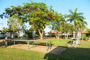 Gulf Country Caravan Park - Accommodation Sunshine Coast 2
