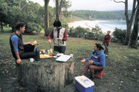 Fortescue Bay TAS Accommodation Sunshine Coast