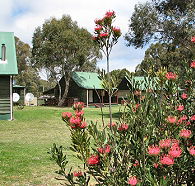 Derwent Bridge Chalets and Studios - Accommodation Sunshine Coast