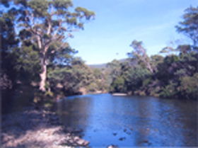 Douglas River Cabin - Accommodation Sunshine Coast 0