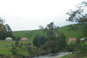 Tin Dragon Trail Cottages - Accommodation Sunshine Coast 0