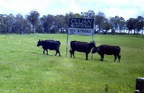  Accommodation Sunshine Coast