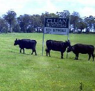 Cluan Homestead - The Managers Residence - Accommodation Sunshine Coast