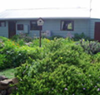 Engadine Cottage - Accommodation Sunshine Coast