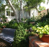 Topiary Haven - Accommodation Sunshine Coast