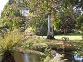 Northeast Park - Accommodation Sunshine Coast 0
