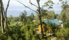 Partridge Farm - Accommodation Sunshine Coast 0