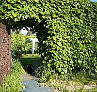 Kirra Guest House - Accommodation Sunshine Coast