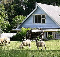 Hide-Away Cottage Retreat - Accommodation Sunshine Coast