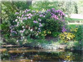 North East Restawhile Bed & Breakfast - Accommodation Sunshine Coast 1