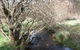 Penguin Valley Farm - thumb 1