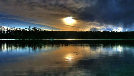 Lake Yalleena Holiday Cabins - Accommodation Sunshine Coast 3