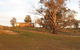 Curringa Farm Accommodation - thumb 3