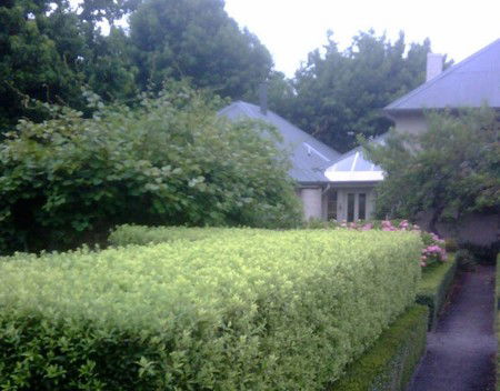 Old Wesleydale Heritage Accommodation - Accommodation Sunshine Coast 3