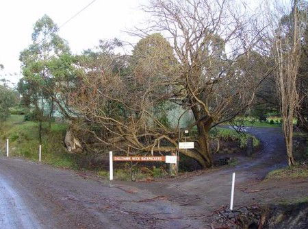 Eaglehawk Neck Backpackers - Accommodation Sunshine Coast 1
