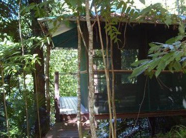 Sanctuary Retreat - Accommodation Sunshine Coast 0