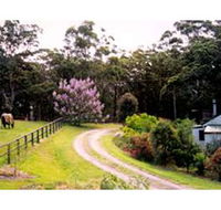 Bundara Farm Cottages - Accommodation Sunshine Coast