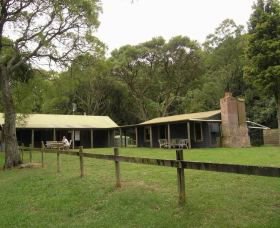 Tree Fern Lodge - Accommodation Sunshine Coast 0