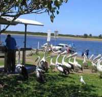 Mountain View Caravan and Mobile Home Village - Accommodation Sunshine Coast
