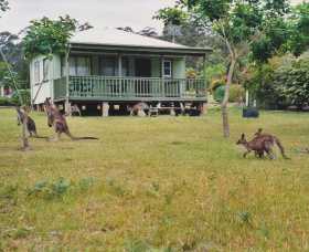 Berringer Lake Holiday Cottages - Accommodation Sunshine Coast 0