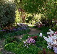 Wombat Hill Bed and Breakfast - Accommodation Sunshine Coast
