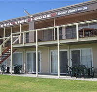 Coral Tree Lodge Tourist Park - Accommodation Sunshine Coast