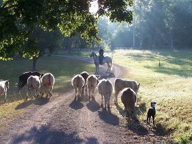 Brooloo Park - Accommodation Sunshine Coast 0