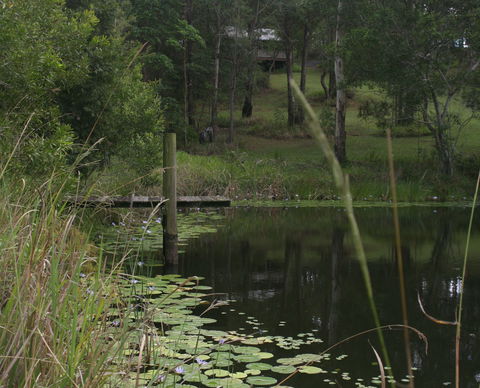 Maleny Country Cottages - Accommodation Sunshine Coast 4