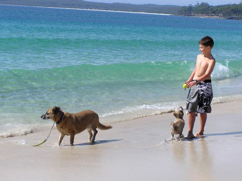 A Paradise Bungalow Waterfront - Accommodation Sunshine Coast 1