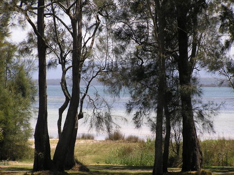 A Paradise Bungalow Waterfront - Accommodation Sunshine Coast 5