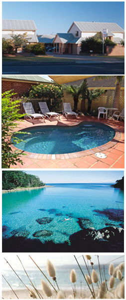 Dolphin Shores Motor Inn - Accommodation Sunshine Coast 1