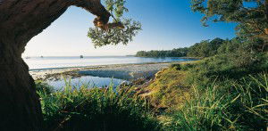 Dolphin Shores Motor Inn - Accommodation Sunshine Coast 2