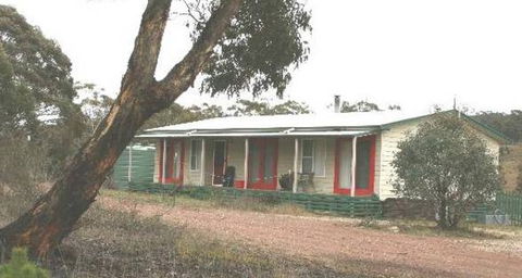 Christmas Tree Cottage - Accommodation Sunshine Coast 0