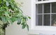 Camellia Cottage Bed & Breakfast - thumb 2