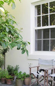 Camellia Cottage Bed & Breakfast - Accommodation Sunshine Coast 2
