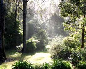 Casuarina Holiday Cottages - Accommodation Sunshine Coast 1