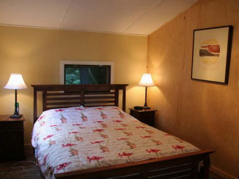 Tree Fern Lodge - Accommodation Sunshine Coast 3
