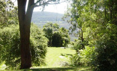 Red Dog Retreat - Accommodation Sunshine Coast 1
