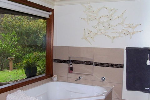 Bellbird Cottage Bed And Breakfast - Accommodation Sunshine Coast 3