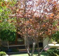 Akame - Accommodation Sunshine Coast