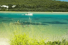 Wooli Camping and Caravan Park - Accommodation Sunshine Coast
