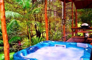 A Waterfall Hideout-Rainforest Cabin For Couples - Accommodation Sunshine Coast 5
