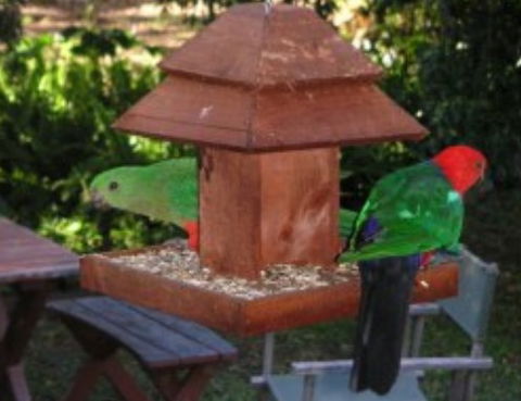 Chauvel Park B And B - Accommodation Sunshine Coast 2