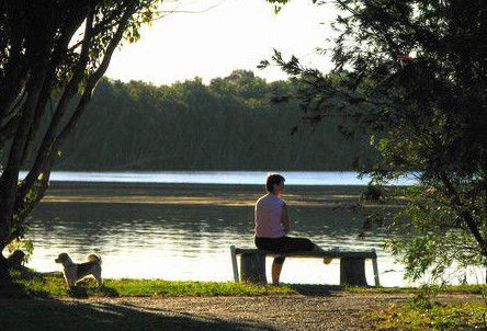 Fishing Haven Caravan Park - Accommodation Sunshine Coast 2