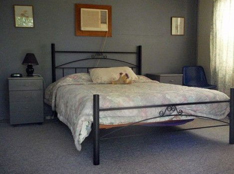 Comeroo Camel Station - Accommodation Sunshine Coast 0