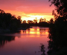 Red Gum Lagoon Cottages - Accommodation Sunshine Coast 3
